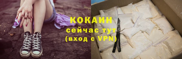 бошки Мегион