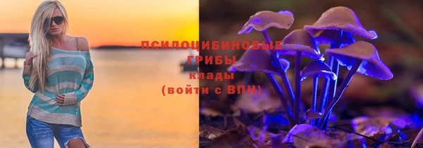 дживик Медногорск