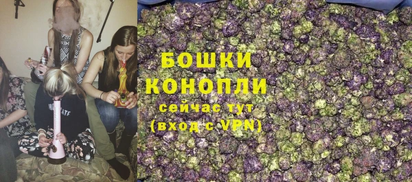 бошки Мегион
