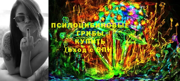бошки Мегион