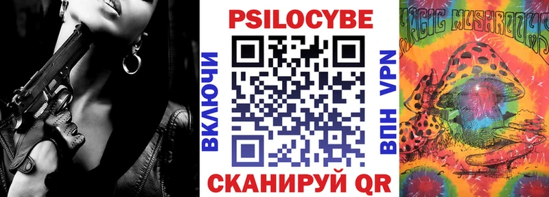 Галлюциногенные грибы Psilocybe Адыгейск