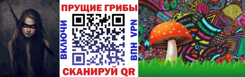 Псилоцибиновые грибы мицелий  Адыгейск 